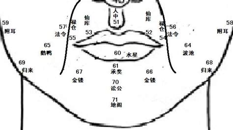 鼻面相男|麦玲玲面相讲座之 鼻子 – 人相学